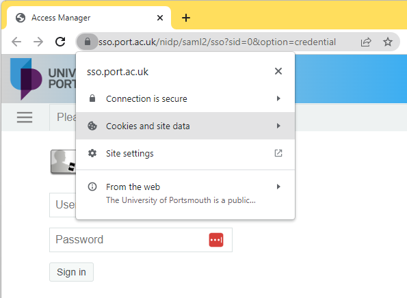 Click on the padlock icon in the URL bar