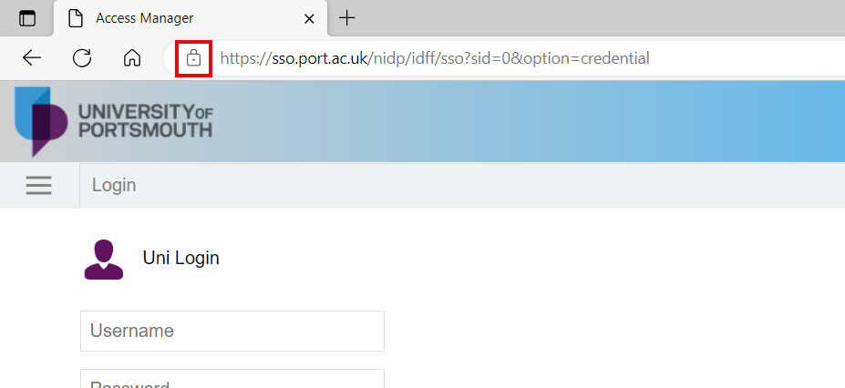 Click on the padlock icon in the URL bar