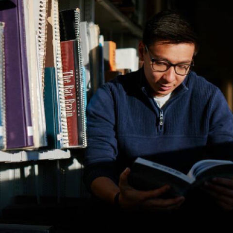 Male student reading in the library